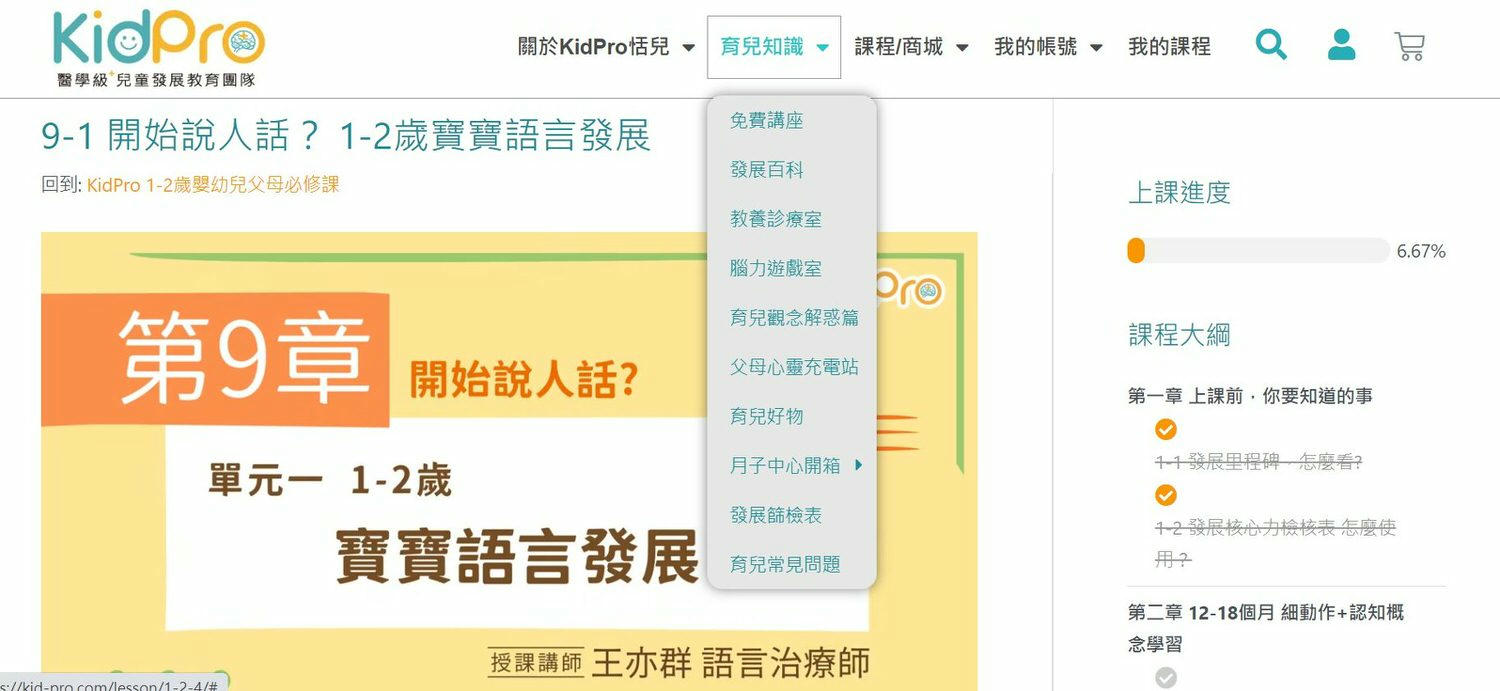 KidPro課程評價~新手爸媽必學~由專業治療師陪伴我的育兒之路~KidPro醫學及兒童教育團隊 - 第2張圖 KidPro課程評價